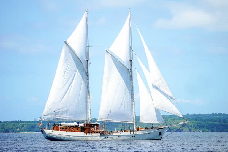 MUTIARA LAUT Sailing