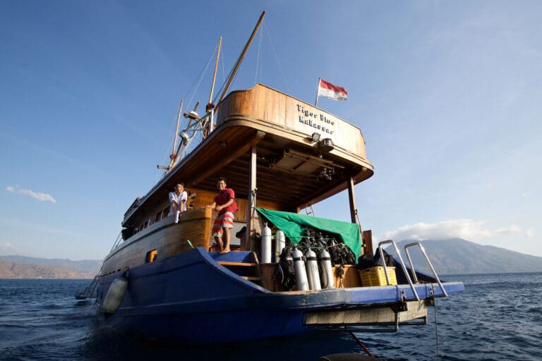 Luxury Phinisi Yacht TIGER BLUE diving