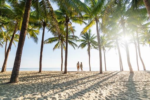 Couple standing on sandy beach among palm trees on sunny morning at seaside