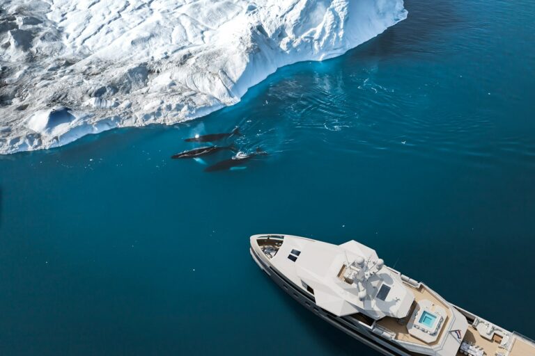 Damen Yachting SeaXplorer 60 polar whales