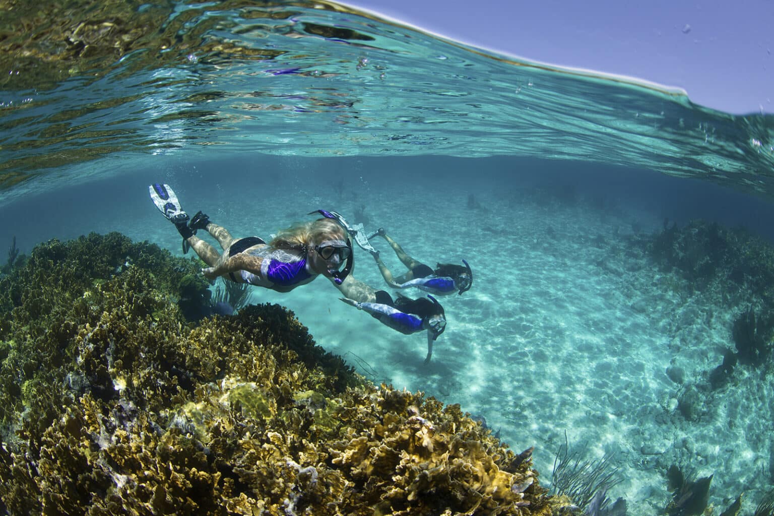 Snorkelers in the Bahamas